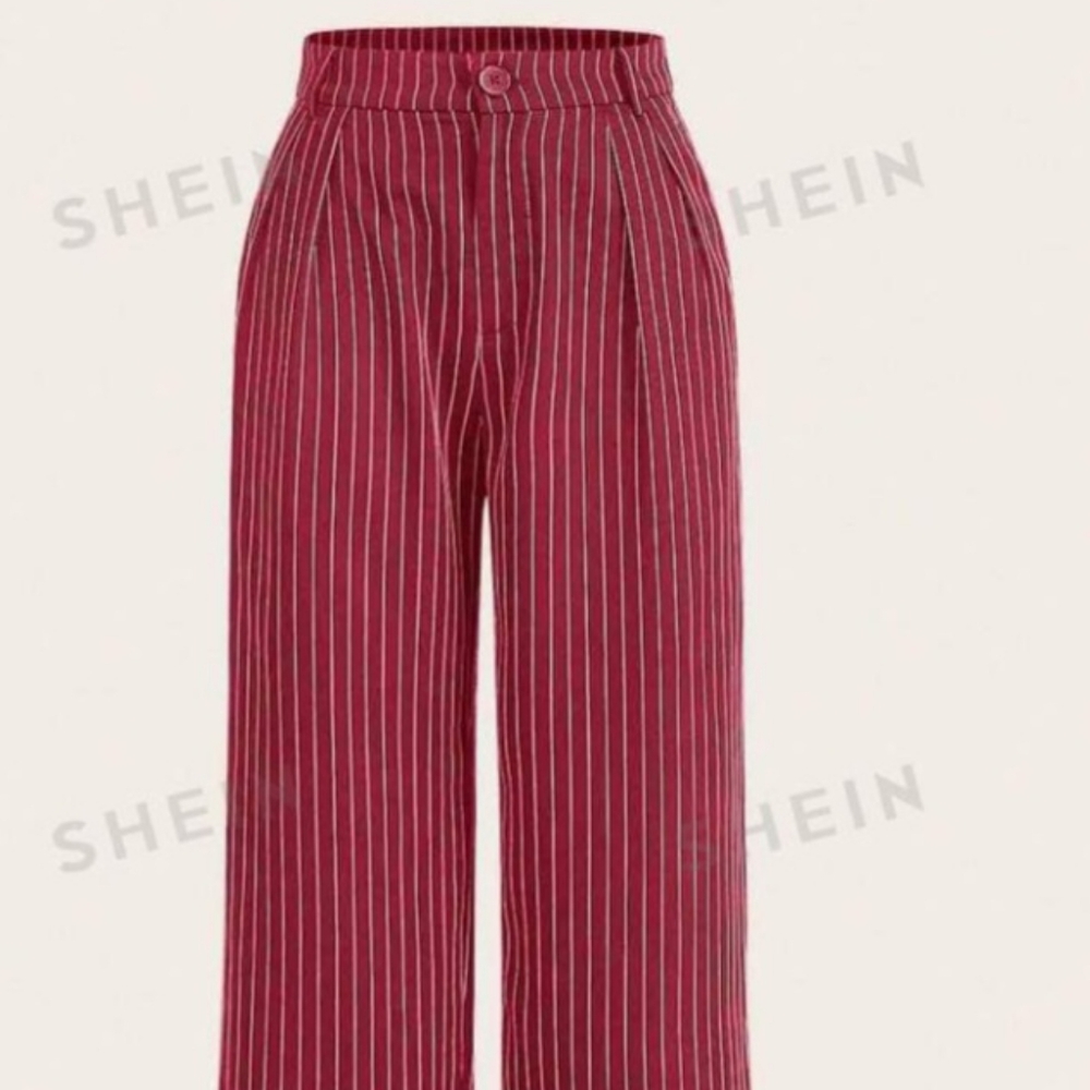 Pleated button pants